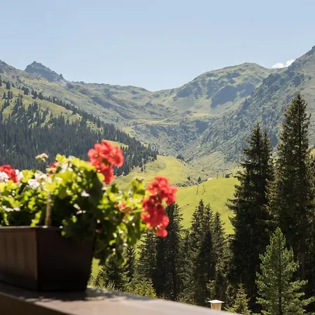 Appart - Chalet Montana *